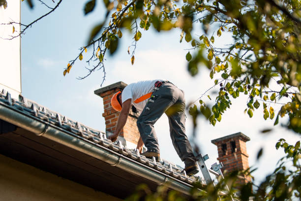 Best Affordable Roof Replacement  in Langston, OK