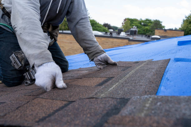Best Roof Leak Repair  in Langston, OK