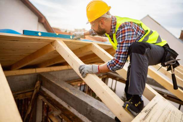 Best Roof Gutter Cleaning  in Langston, OK